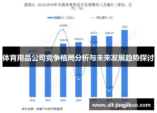 体育用品公司竞争格局分析与未来发展趋势探讨