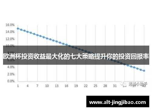 欧洲杯投资收益最大化的七大策略提升你的投资回报率