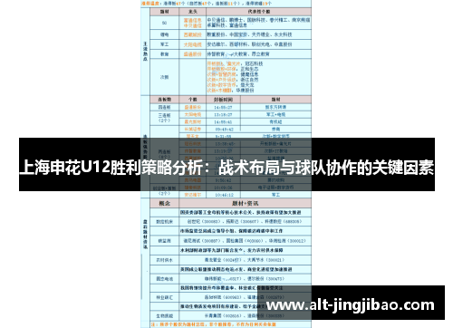 上海申花U12胜利策略分析：战术布局与球队协作的关键因素