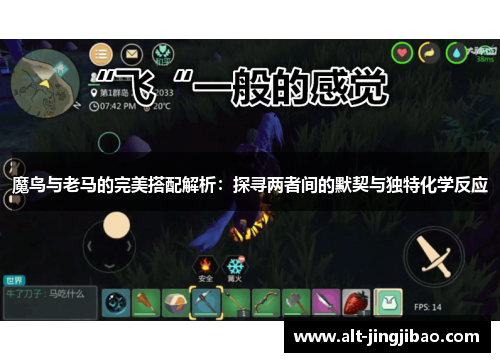 魔鸟与老马的完美搭配解析：探寻两者间的默契与独特化学反应