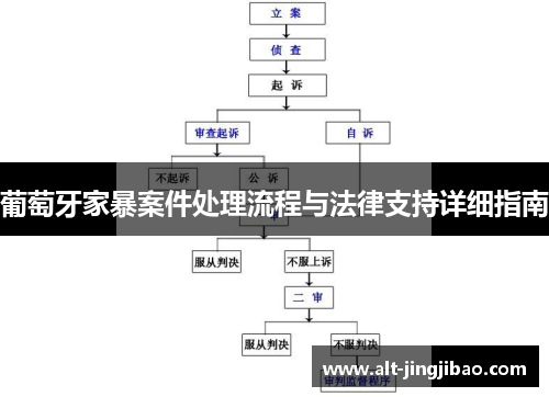 葡萄牙家暴案件处理流程与法律支持详细指南